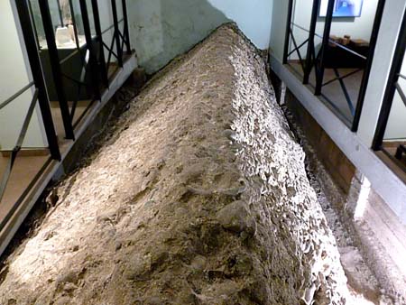 Fondazioni