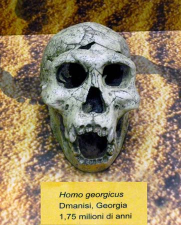 OminideHomoGeorgicus