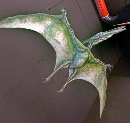 Pterodattilo2