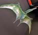Pterodattilo2