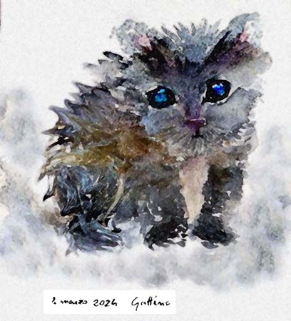 TAM Gattino 8mar2024