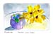 TAM Forsitia 16apr2024