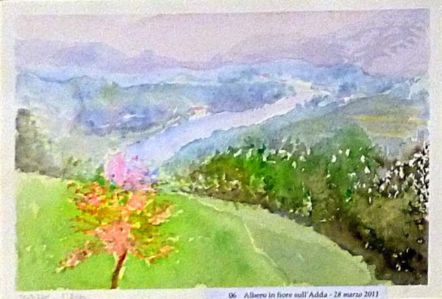 alberoinfioresulladda.jpg