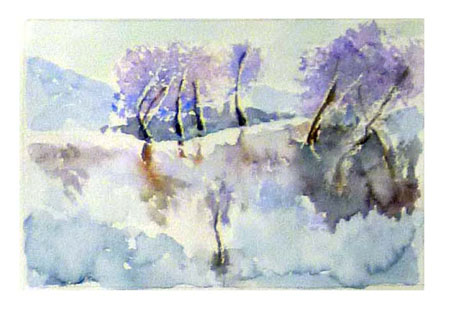 Nel bosco la neve in marzo si scioglie  2 marzo 2026