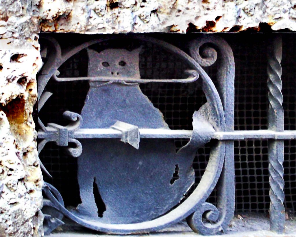 gattomonforte42.jpg