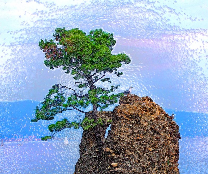 pinodaleppoversoportofino.jpg