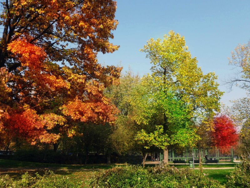 parcopallavicino.jpg